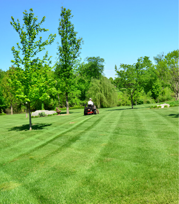 Green Paysage Amenagement Paysager A Morlaix Entretien Jardins